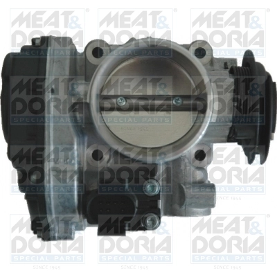 Throttle Body